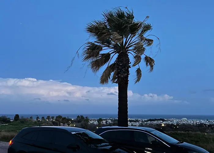 Clementine Rhodes - Car Available *